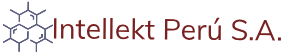 INTELLEKT PERÚ S.A.